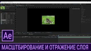 AE 2.7. Масштабирование и отражение слоя / Курс Adobe After Effects