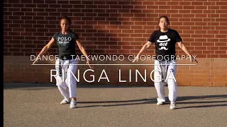 Ringa Linga | Dance & Taekwondo Choreography