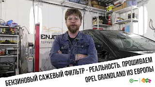 Бензиновый сажевый фильтр - реальность. Прошиваем Opel Grandland из Европы