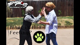 What is this Feeling | Miraculous Ladybug CMV