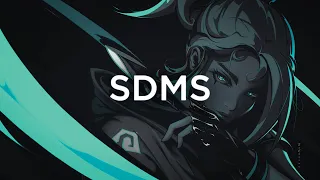 SDMS - We Dance Till We Die