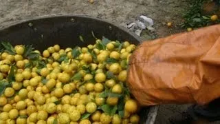 Morgan Spurlock as migrant farm worker