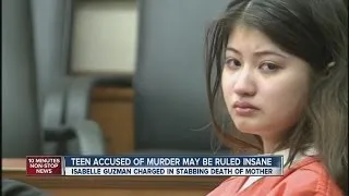 Teen claims insanity for stabbing mom 151 times