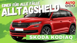 Einer für alle Fälle - Der Alltagsheld Skoda Kodiaq im Test 2017