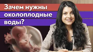 Что такое околоплодные воды? Из чего состоят и зачем нужны? Что такое индекс амниотической жидкости?