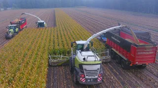Mais 2022 : Corn Harvest XXL | Claas Jaguar 980 & 970 | 10 Claas & New Holland tractors | Piening