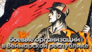 боевые организации в Веймарской республике