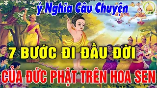 Ý Nghĩa 7 Bước Hoa Sen khi Đức Phật Thích Ca đản Sinh_Lời Vàng Phật Dạy