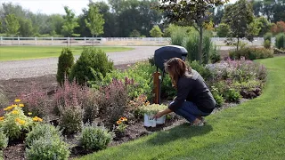 Planting 3 Varieties of Sedum! Tough, Low Maintenance, Heat-Loving Plants! 🙌☀️😍 // Garden Answer