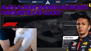 Alex Albon shows his mum's Favourite Cat "Lucky" during Live Stream