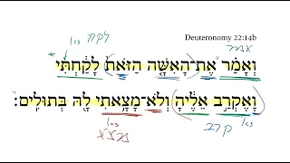 Deuteronomy 22:14b