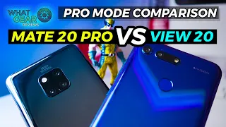 Honor View 20 vs Huawei Mate 20 Pro Camera Test - PRO MODE COMPARISON
