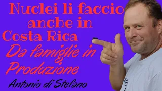 Nuclei anche in Costa Rica li Faccio con la LIGUSTICA fase 1 ,passo passo imparerai anche TU!!!