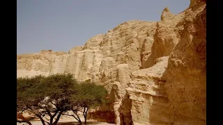 Запад и Восток - Пустынный блюз | Альбом Долгий путь  (Official Music Video)