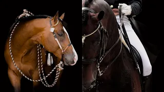 Roundtable Rival || Western V.S Dressage ||