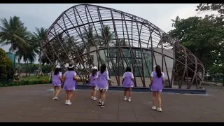 WO MEN BU YI YANG Remix ( 我们不一样 ) Line Dance, Beginner