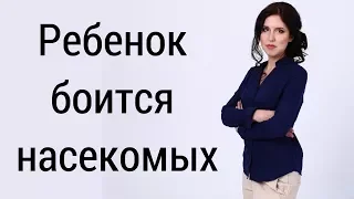 Детский страх насекомых. Ребенок боится насекомых - что делать?