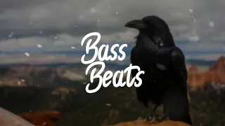 PRIMODRUM - BLACK RAVEN [Bass Boosted]