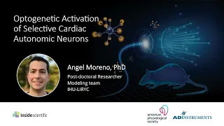 Optogenetic Activation of Selective Cardiac Autonomic Neurons