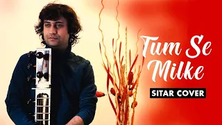 Tum Se Milke | Parinda | Sitar Cover | Sumit Singh Padam