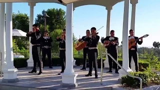 Добро пожаловать в Калифорнию Мексиканские певцы и музыканты на приеме.