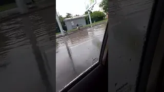 Наводнение в Гомеле