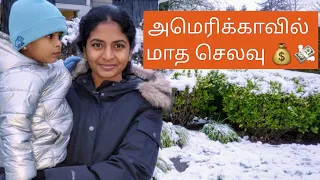 Cost of Living in America in Tamil | Monthly Expenses in USA | USA Tamil Vlog