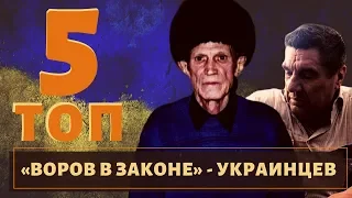 ТОП 5 самых известных украинских воров в законе!