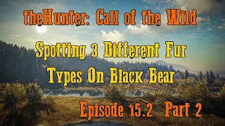 theHunter: Call of the Wild Ep.15.2  Part 2 - Spotting 3 Different Fur Types On Black Bear