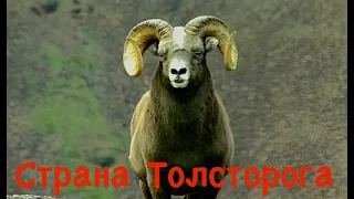 Страна толсторога. Плато Путорана