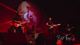 Brit Floyd - "Sheep" - Space & Time - Live in Amsterdam