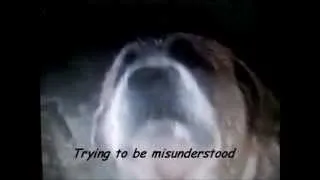 Cujo Tribute -Misunderstood-