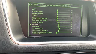 AUDI SECRET GREEN MENU DETAILED DEMONSTRATION WITH ALL VALUES - AUDIQ5