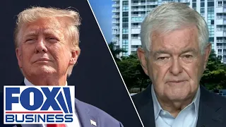 Gingrich: This is ‘just one more assault on Trump’