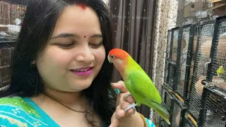 Ma bache ka pyaar 🥰❤️😘#sonaliparrot #parrotlover #parrotvideo