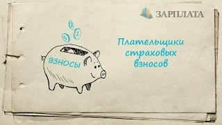 Плательщики страховых взносов