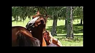 Rabano, Theresa Zenner's horse, LOVES his belly rubbed