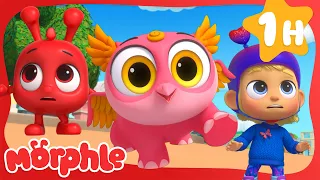 It's a Hoot!🦉| BRAND NEW | Cartoons for Kids | Mila and Morphle