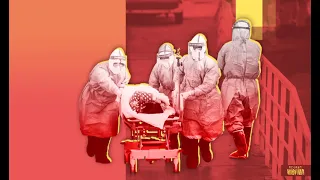 Кто первым привез заболевание коронавирусом в Россию