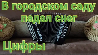 В ГОРОДСКОМ САДУ ПАДАЛ СНЕГ НА ГАРМОНИ/ В городском саду падал снег цифры