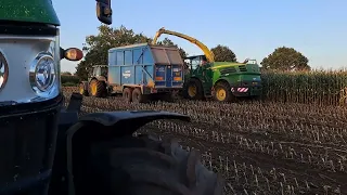 chopping maze in sunny Norfolk with the boys johndeere 8400i chopper and 6155r's carting