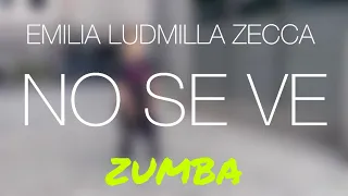 No Se Ve - Emilia, LUDMILLA, Zecca |ZUMBA| Choreography