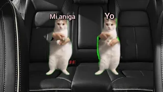 voy a la casa de mi amiga - historia con Memes de gatos