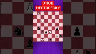 💥ИДЕАЛЬНАЯ БЛОКИРОВКА #chesspuzzle #шахматныезадачи #шахматы #chess