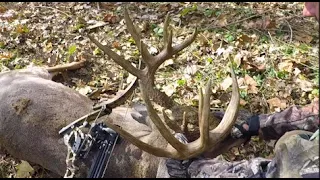 Bowhunting Midwest Whitetail Giant Bucks, Part 2, Chronicles