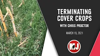 Terminating Cover Crops | Chris Proctor | March 19, 2021
