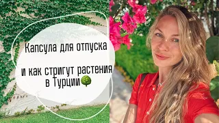 Капсула в отпуск | как стригут растения в Турции