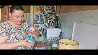 И смех🤣и слёзы🥲Рецепт от 🍑Персиков🍑Маринованные огурцы🥒с мёдом🍯