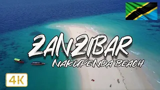 Zanzibar, Tanzania, one day in Paradise, the heart of the ocean !!! 🇹🇿 4K/60fps