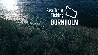 Sea Trout Fishing Bornholm